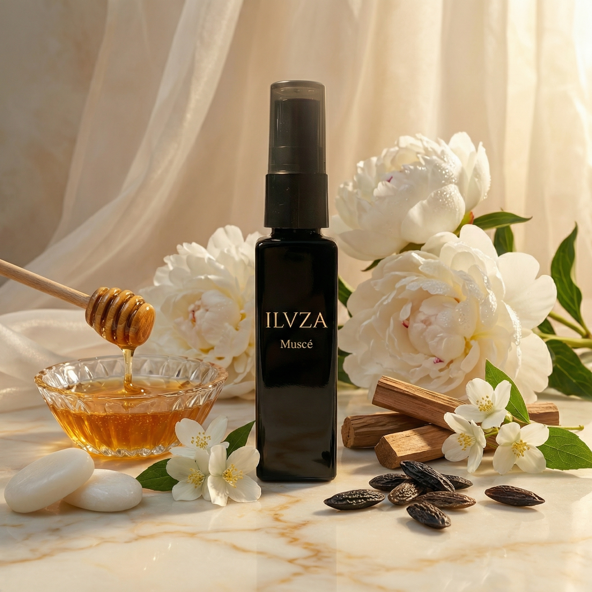 ILVZA — MUSCÉ